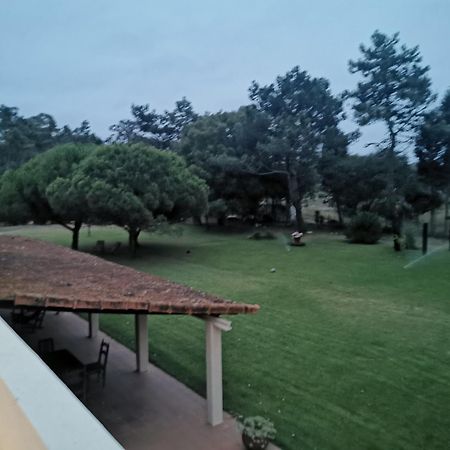 Villa T1 Na Casa Da Quinta S Jose Praia de Mira Esterno foto