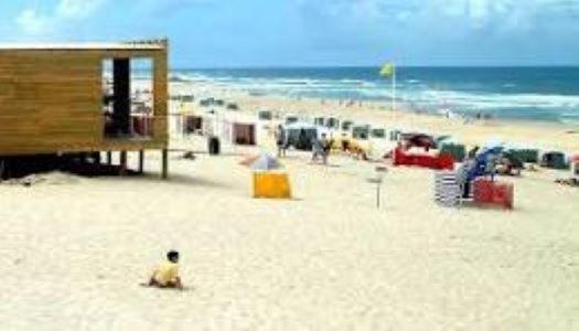 Villa T1 Na Casa Da Quinta S Jose Praia de Mira Esterno foto